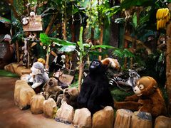 -济州岛泰迪熊博物馆