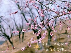 -青城公园