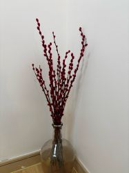 -美肤盾祛痘·问题肌头疗管理中心