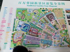 -百万葵园