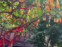 -古大圣慈寺