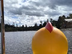 -五营红松林海景区