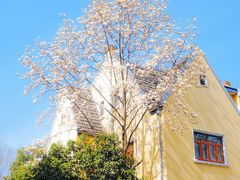 -颐和路民国时期公馆风貌区
