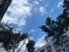 -龍城柳州螺蛳粉(群星路店)