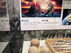-北京周口店北京人遗址博物馆