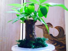 -行者书屋大堂吧 ·下午茶(南京圣和府邸酒店)