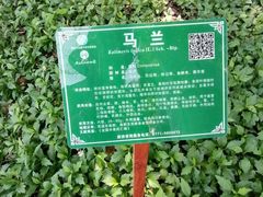 -广西壮族自治区药用植物园