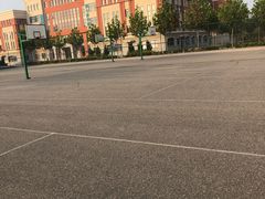 -南开大学滨海学院