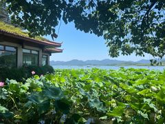 -杭州君悦酒店