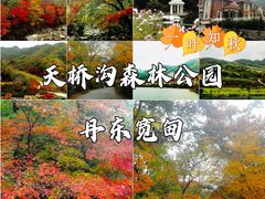 -丹东天桥沟景区