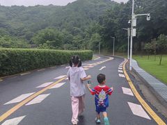 -黄埔油麻山森林公园