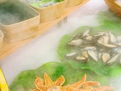 -VT101维多利广场