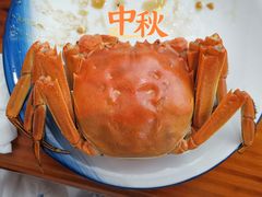 -蟹天蟹地农家菜·阳澄湖大闸蟹(浅水湾店)