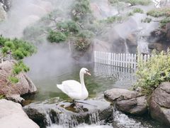 -罗红摄影艺术馆