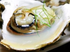 -大富蚝乌东哥饭店·石锅鱼杂·柠檬鸭(革新路店)