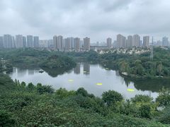 -重庆彩云湖湿地公园