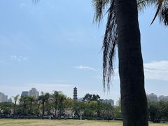 -江心屿景区