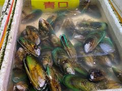 -珠光市场(文德南路)