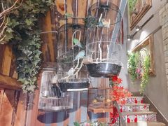 -西西里轰趴日租聚会别墅·团建拓展