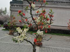 -荆川公园