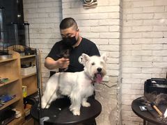 -Goku PET SHOP宠物视觉生活馆(双井店)