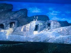 -暹罗海洋世界