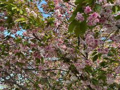 -河南省黄河迎宾馆