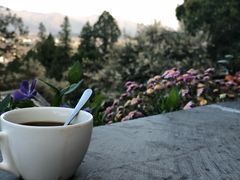 -丽江古城第一观景台
