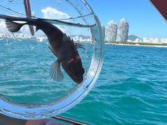 -小猫钓鱼海钓俱乐部(椰梦长廊店)