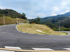 -黄埔油麻山森林公园