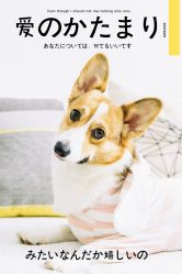 -ZOO KIDS象集摄影工作室(西城公馆店)