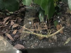 -上海昆虫博物馆