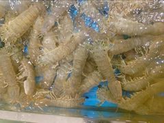 -鲜得莱渔港·小平岛海胆馆(七贤岭店)