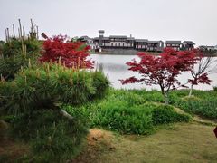 -金卉庄园