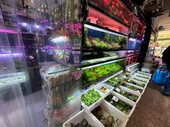 -双季花艺园艺市场(浦东店)