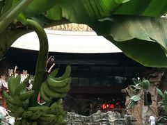 -顺景温泉