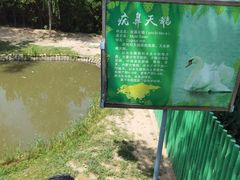 -西霞口神雕山野生动物世界