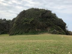 -鹅銮鼻公园