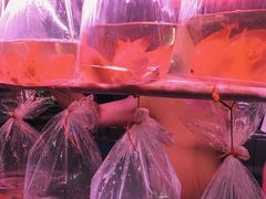 -中环花鸟鱼虫市场