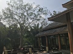 -广悦华阳朔河畔度假酒店(十里画廊遇龙河店)
