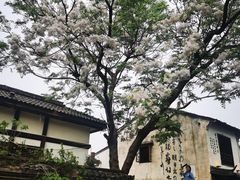 -绍兴书圣故里景区