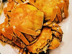 -王宝和酒家(黄浦店)