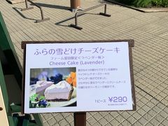 -富田农场