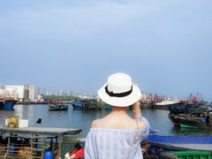 -北海金海湾红树林生态旅游区