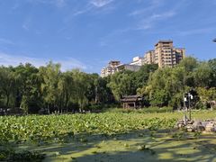 -莲湖公园