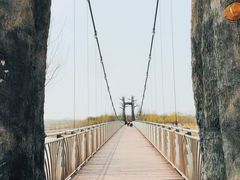 -西青郊野公园