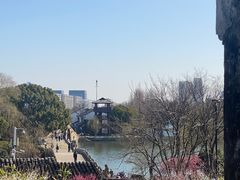 -苏州上方山国家森林公园