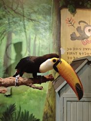 -Zoolung Zoolung动物主题公园(海信广场店)