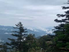 -牛背梁国家森林公园