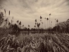 -西溪国家湿地公园